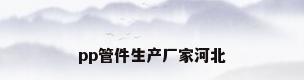 pp管件生产厂家河北