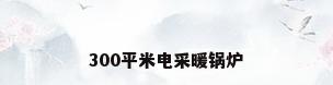300平米电采暖锅炉