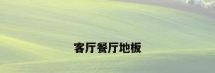 客厅餐厅地板