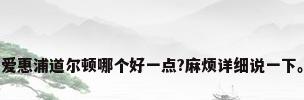 爱惠浦道尔顿哪个好一点?麻烦详细说一下。