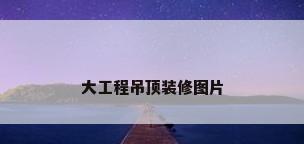 大工程吊顶装修图片