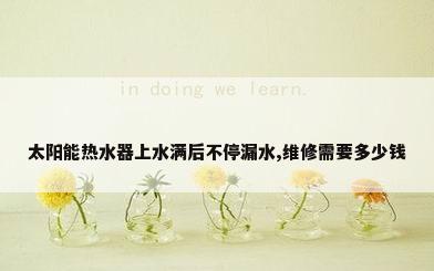 太阳能热水器上水满后不停漏水,维修需要多少钱