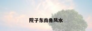 院子东南角风水