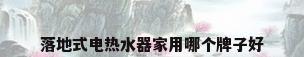 落地式电热水器家用哪个牌子好