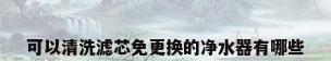 可以清洗滤芯免更换的净水器有哪些