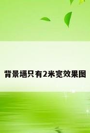 背景墙只有2米宽效果图