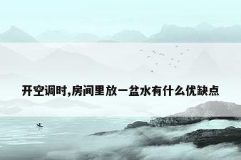 开空调时,房间里放一盆水有什么优缺点