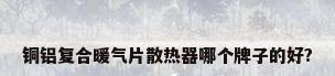 铜铝复合暖气片散热器哪个牌子的好?
