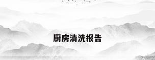 厨房清洗报告