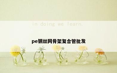 pe钢丝网骨架复合管批发