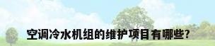 空调冷水机组的维护项目有哪些?