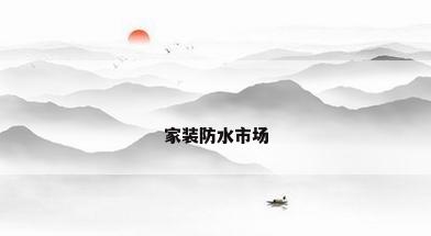 家装防水市场