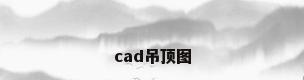 cad吊顶图