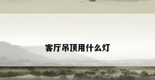 客厅吊顶用什么灯