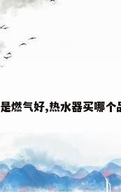 热水器电热好还是燃气好,热水器买哪个品牌的比较好用?