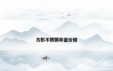 方形不锈钢井盖价格