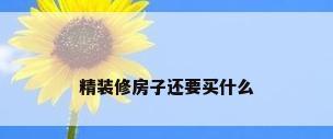 精装修房子还要买什么